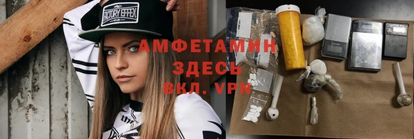 стаф Корсаков