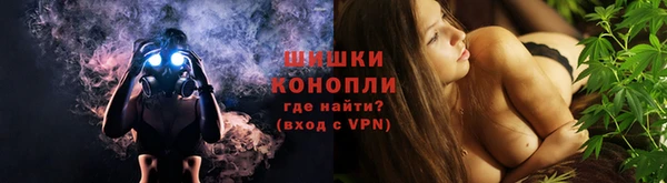 стаф Корсаков