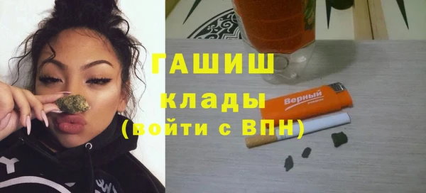 стаф Корсаков