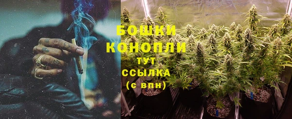 стаф Корсаков