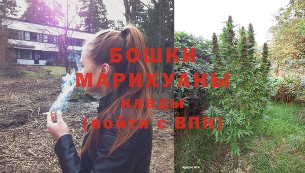 стаф Корсаков