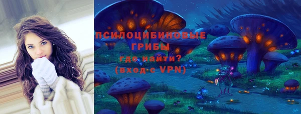 гидропоника Щёлкино