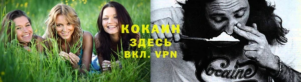 стаф Корсаков