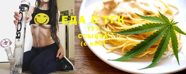 стаф Корсаков